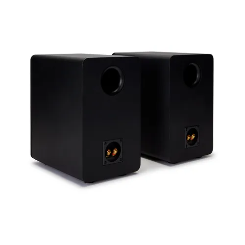 Kolumny Aiwa SP-A100 Czarny 2szt.