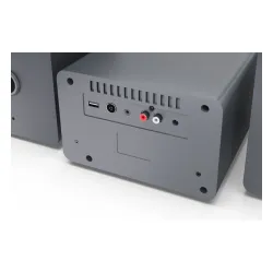 Wieża Sharp TOKYO XL-B514 20W Bluetooth Radio FM Szary