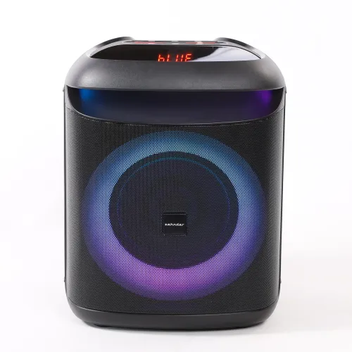 Power Audio Zehnder Party Box PB400 40W Mikrofon Bluetooth Czarny