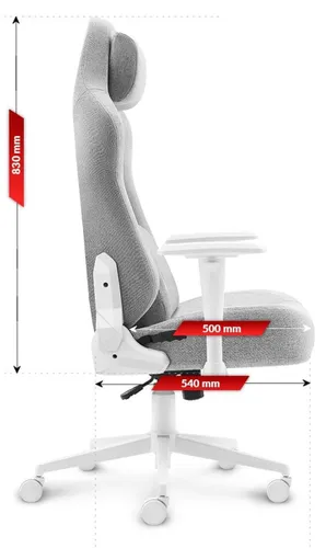 Fotel gamingowy HELL'S CHAIR HC 1009 Biało-szary