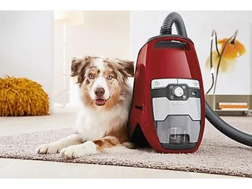 Miele Blizzard CX1 Cat &amp; Dog PowerLine Üniversal Elektrikli Süpürge