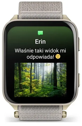 Smartwatch GARMIN Venu X1 Złoto-szary