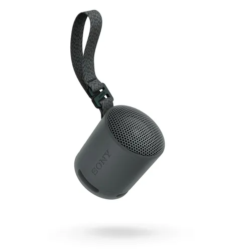 Динамик Bluetooth Sony SRS-XB100 5W черный