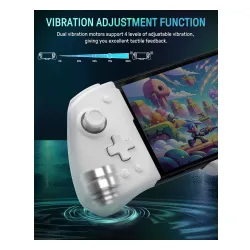 Kontroler FUNLAB Luminpad Gripcon Switch Zonai White do Nintendo Switch