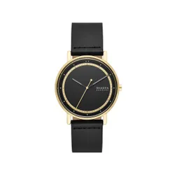 Часы Skagen Signatur SKW6897 Черный