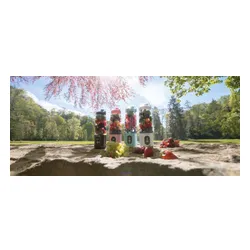 Blender personalny CONCEPT Smoothie FitMaker SM4001 Bezprzewodowy Czarny