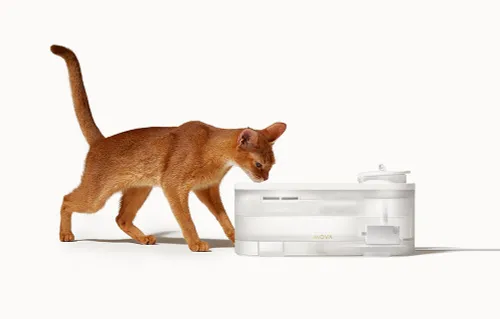 Fontanna dla zwierząt MOVA WF10 Pro