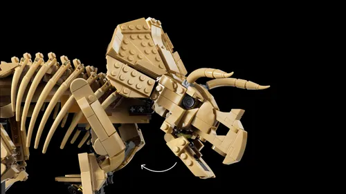 LEGO Jurassic World 77985 Szkielety dinozaurów: triceratops, zestaw klocków