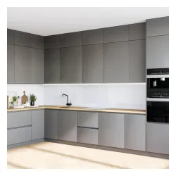 Okap Globalo Viledo 60.1 Inox