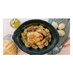 Multicooker CECOTEC 2031