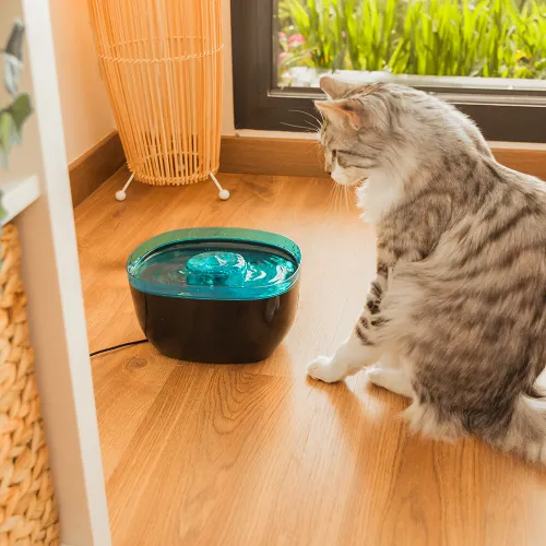 Fontanna dla zwierząt CECOTEC Pumba 2200 Refresh 09561