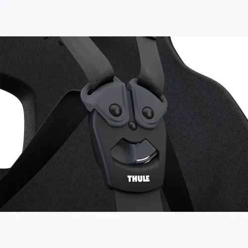 Детское велокресло THULE Yepp Nexxt 2 Maxi RM