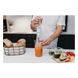 Blender Prime3 SHB21 400W