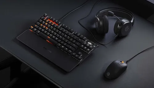 Myszka gamingowa SteelSeries Prime Mini Czarny