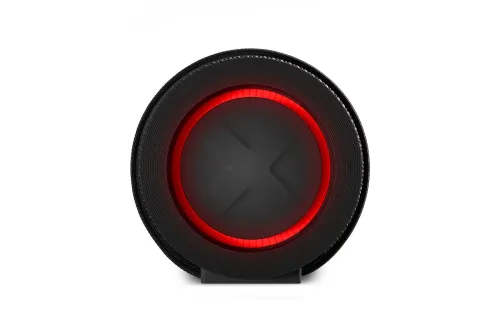 Głośnik Bluetooth LG xboom Grab 30W Czarny