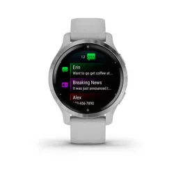 Смарт-часы Garmin Venu 2S серебро