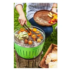 LotusGrill Kömür bahçe ızgarası XL 40 cm x 40 cm Yeşil + Kılıf