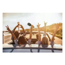 Mikrofon z głośnikiem Bluetooth Forever BMS-500 5W Czarny