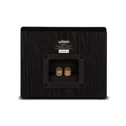 Kolumny efektowe Dolby Atmos Wilson Raptor X Czarny 2szt.