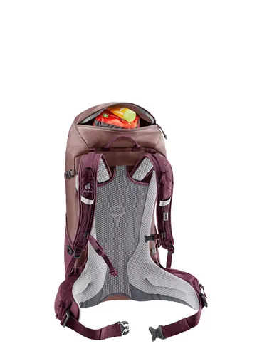 Plecak Deuter Futura 24 SL - ashrose/cassis