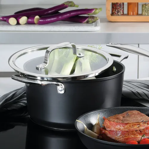 SPRING Meridian Intense Pro 3,0 l - garnek ze stali nierdzewnej z pokrywką