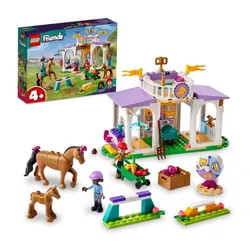 Конструктор LEGO Friends 41746 обучение лошадей