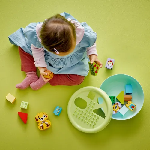 LEGO Klocki DUPLO 10441 Sorter kształtów: dom szczeniaczków