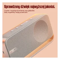 Głośnik Bluetooth Bose SoundLink Home Light Silver
