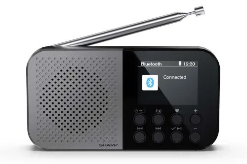 Radioodbiornik Sharp Osaka DR-P520(GY) Radio FM DAB+ Bluetooth Szary