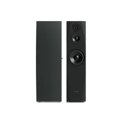 Kolumny Pylon Audio Sapphire 31 Czarny 2szt.