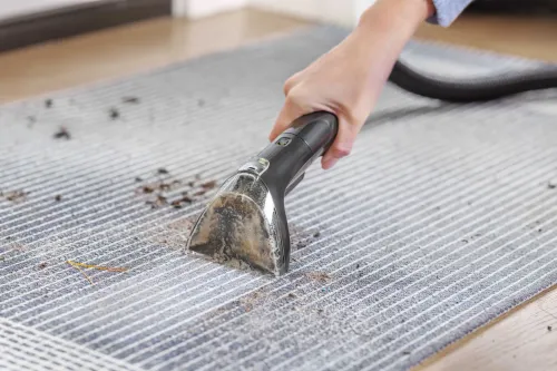 Odkurzacz Bissell SpotClean Mini Cordless 4065N