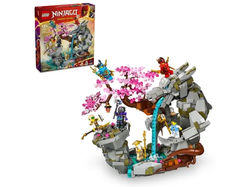 LEGO Ninjago 71819 Храм Драконьего Камня