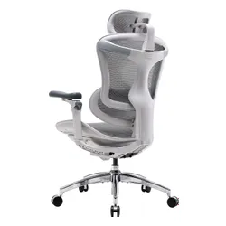 Fotel gamingowy SIHOO Doro C300 PRO Biały