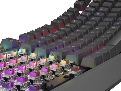 Klawiatura mechaniczna Genesis Thor 230 TKL US RGB Outemu Brown Czarny