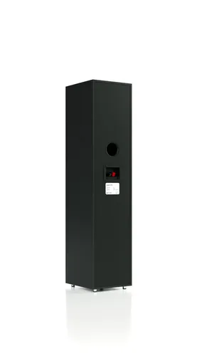 Kolumny Pylon Audio Pearl 20 Czarny 2szt.