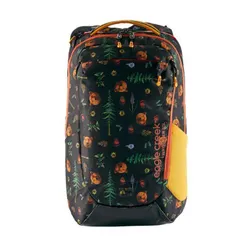 Городской рюкзак Eagle Creek Wayfinder Backpack 30 l-golden state