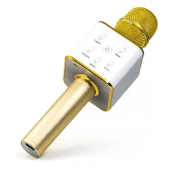 Technaxx MusicMan Karaoke Mikrofonu (BT-X31GOLD)