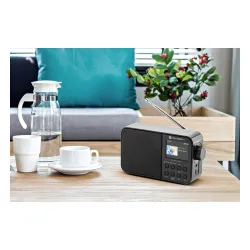 Radioodbiornik GoGEN DAB 500 BTC Radio FM DAB+ Czarny