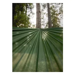 Hamak Lesovik Sul - forest green
