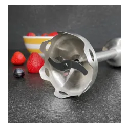 Blender Blaupunkt HBD211 1100W