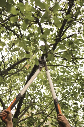 Sekator dźwigniowy nożycowy Fiskars L PowerGear X LX98