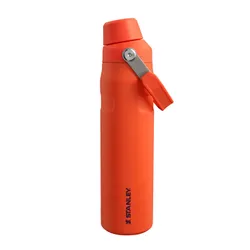 Butelka na wodę Stanley Aerolight IceFlow 0,6 l - tigerlily