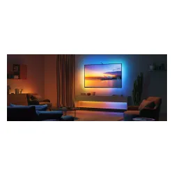 Taśma LED Govee H6097 40-50"