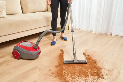 Odkurzacz Zelmer Tadek ZVC261 800W