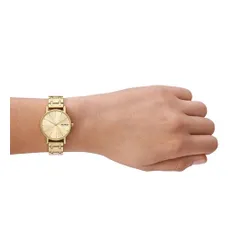 Часы Skagen Signatur SKW3124 Gold