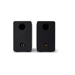 Kolumny Aiwa SP-A100 Czarny 2szt.