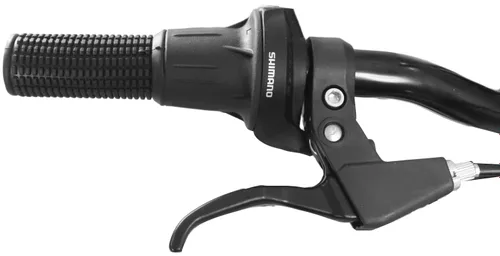 Rower dziecięcy INDIANA Figo 20 cali Limonkowy