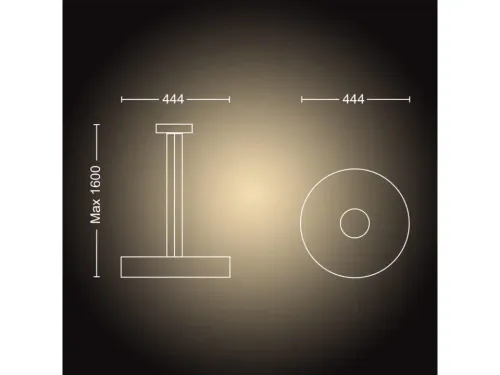 Lampa sufitowa Philips Hue White Ambiance Fair 929003054501 Czarny