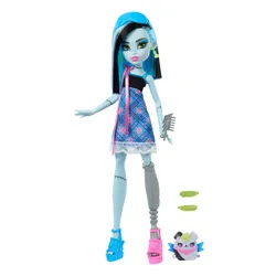 Lalka MONSTER HIGH Ukryte sekrety Straszynocowanka HYV64 (1 lalka)