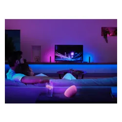 Centralka Philips Hue Play HDMI Sync Box